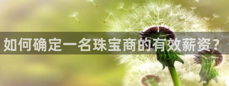 新宝5测试：如何确定一名珠宝商的有效薪资？