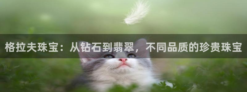 皇冠新宝5：格拉夫珠宝：从钻石到翡翠，不同品质的珍贵珠宝