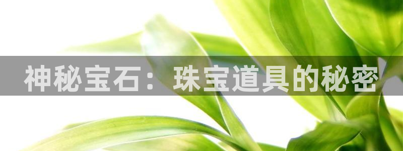 新宝新5：神秘宝石：珠宝道具的秘密
