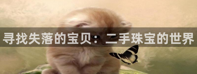 新宝5娱乐代理：寻找失落的宝贝：二手珠宝的世界