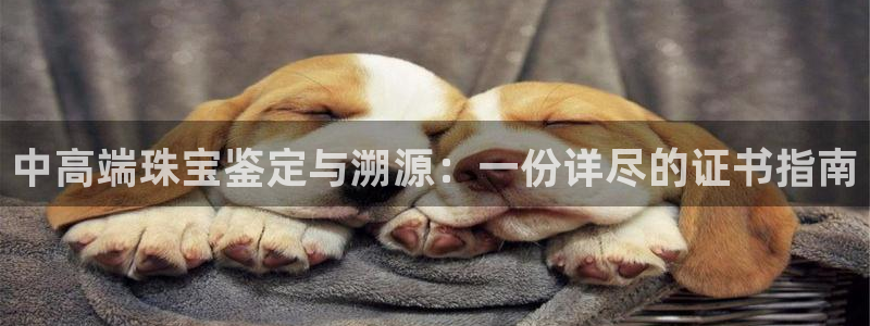 新宝5天：中高端珠宝鉴定与溯源：一份详尽的证书指南