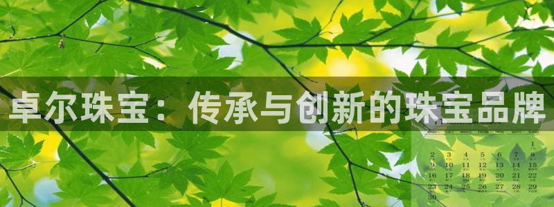新宝5导师：卓尔珠宝：传承与创新的珠宝品牌