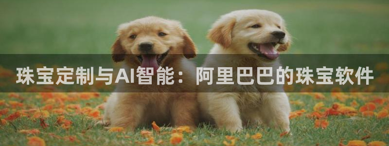 新宝5 唯一：珠宝定制与AI智能：阿里巴巴的珠宝软件