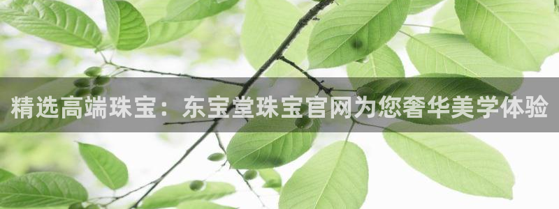 新宝5代理注册：精选高端珠宝：东宝堂珠宝官网为您奢华美学体验
