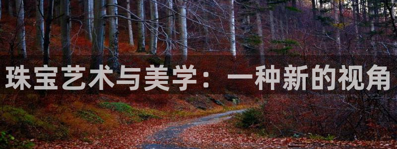新宝5测速登录：珠宝艺术与美学：一种新的视角