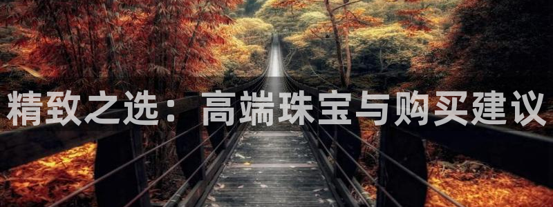 新5宝：精致之选：高端珠宝与购买建议