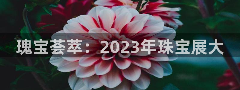新宝5娱乐如：瑰宝荟萃：2023年珠宝展大