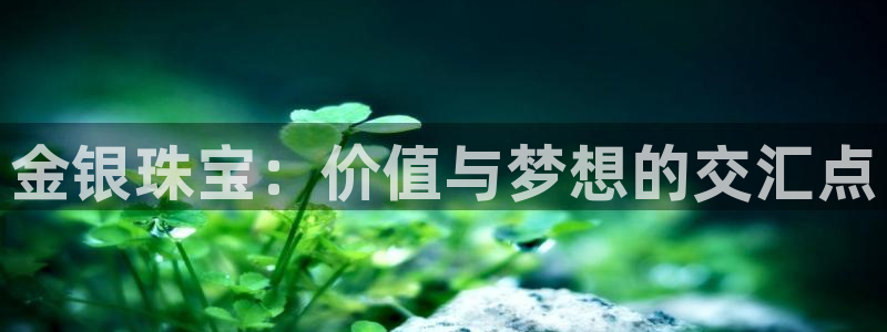 新宝5：金银珠宝：价值与梦想的交汇点