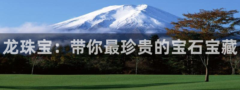 新宝5如何下载：龙珠宝：带你最珍贵的宝石宝藏