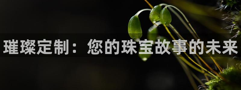 新宝5谠631257：璀璨定制：您的珠宝故事的未来