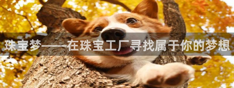 新宝5现在还能玩吗：珠宝梦——在珠宝工厂寻找属于你的梦想