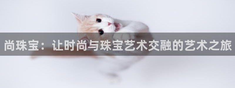 新宝5挂机：尚珠宝：让时尚与珠宝艺术交融的艺术之旅