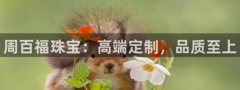 新宝5注册流程：周百福珠宝：高端定制，品质至上