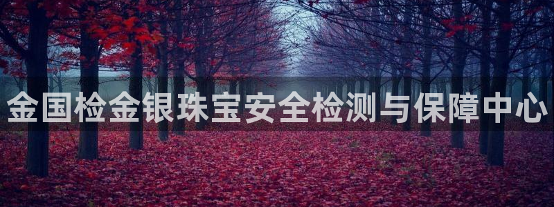 新宝5下载注册：金国检金银珠宝安全检测与保障中心
