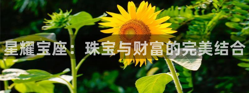 新宝5现在还能玩吗：星耀宝座：珠宝与财富的完美结合