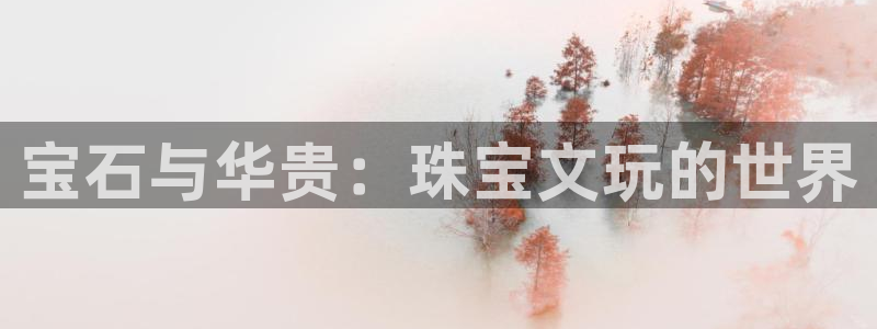 新宝5飞355051：宝石与华贵：珠宝文玩的世界