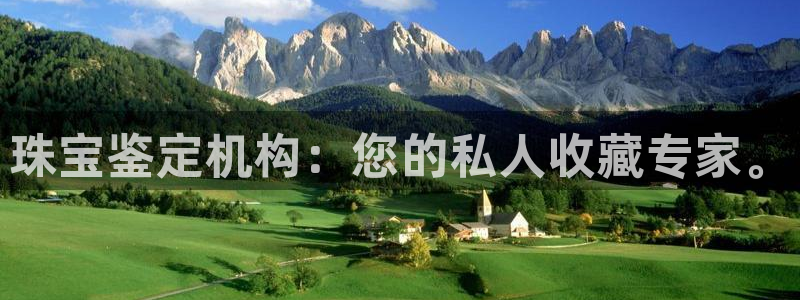新宝5日740005蔻：珠宝鉴定机构：您的私人收藏专家。