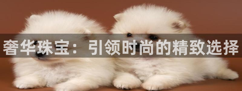 新宝5如何注册登录：奢华珠宝：引领时尚的精致选择