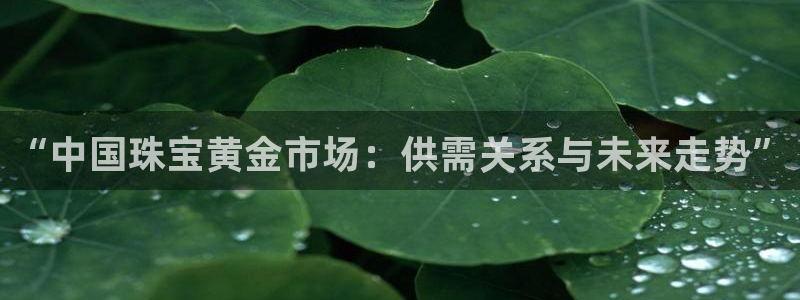 新宝5户端：“中国珠宝黄金市场：供需关系与未来走势”