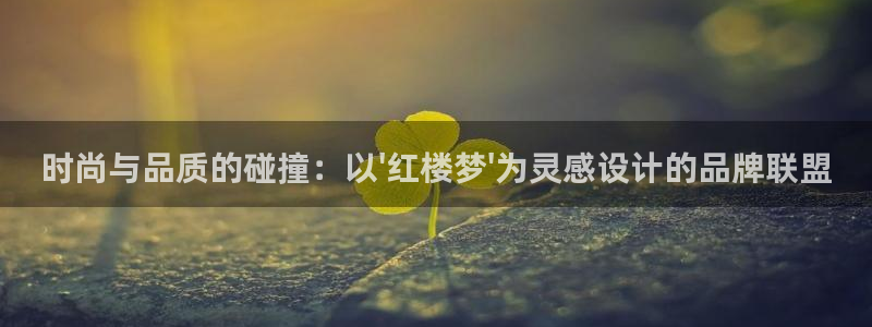 新宝5在哪里：时尚与品质的碰撞：以\'红楼梦\'为灵感设计的品牌联盟