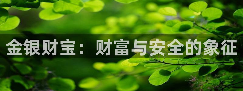 新宝新5：金银财宝：财富与安全的象征