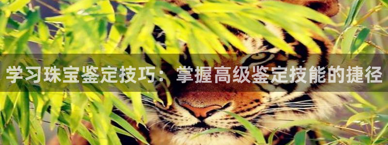 新宝5郑74OOO5：学习珠宝鉴定技巧：掌握高级鉴定技能的捷径