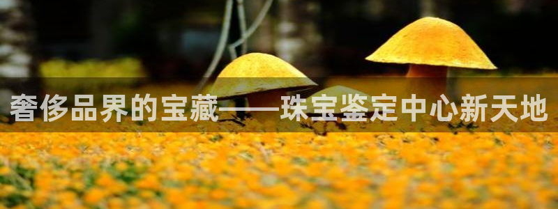 新宝rc_5w：奢侈品界的宝藏——珠宝鉴定中心新天地