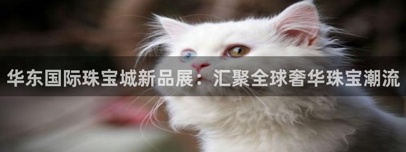 新宝5测速登录：华东国际珠宝城新品展：汇聚全球奢华珠宝潮流