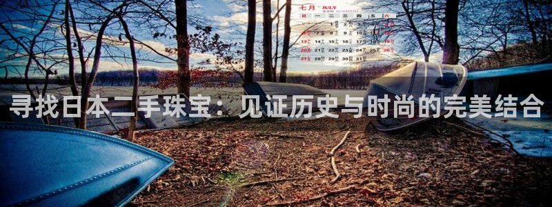 新宝5登录测速中心：寻找日本二手珠宝：见证历史与时尚的完美结合