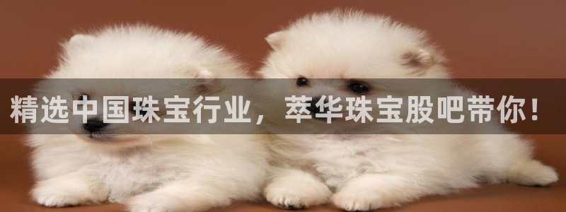 新宝5平台注册公司：精选中国珠宝行业，萃华珠宝股吧带你！