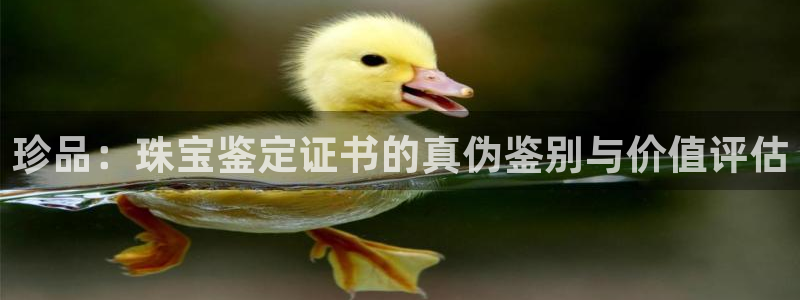 新宝5X：珍品：珠宝鉴定证书的真伪鉴别与价值评估