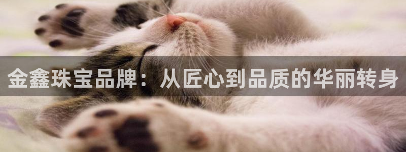 新宝5娱乐如：金鑫珠宝品牌：从匠心到品质的华丽转身