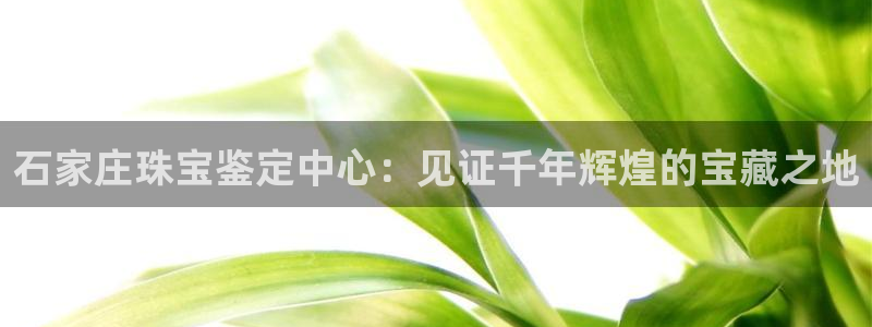 2022新宝骏rs 5：石家庄珠宝鉴定中心：见证千年辉煌的宝藏之地