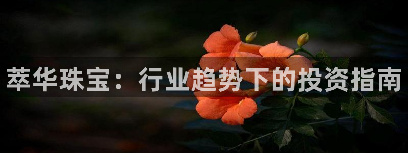 新宝5蒋7O667：萃华珠宝：行业趋势下的投资指南