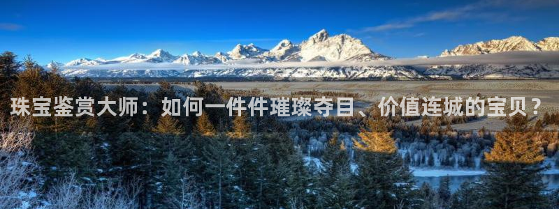 新宝5注册：珠宝鉴赏大师：如何一件件璀璨夺目、价值连城的宝贝？