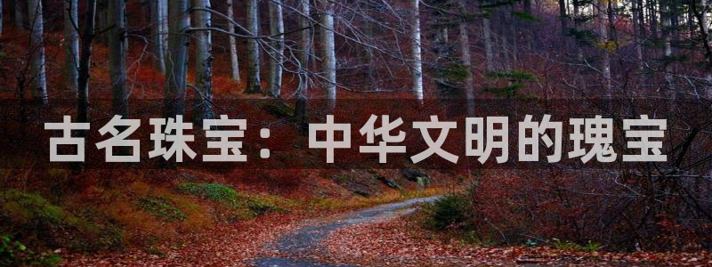 新宝5彩票娱乐平台：古名珠宝：中华文明的瑰宝