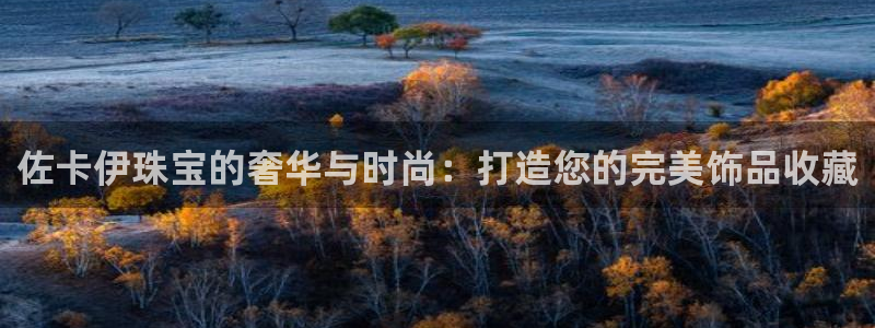 新宝测速5：佐卡伊珠宝的奢华与时尚：打造您的完美饰品收藏