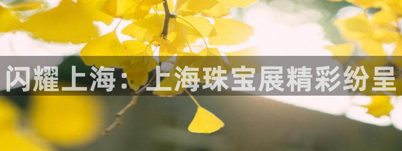 新宝b2O5O5O：闪耀上海：上海珠宝展精彩纷呈