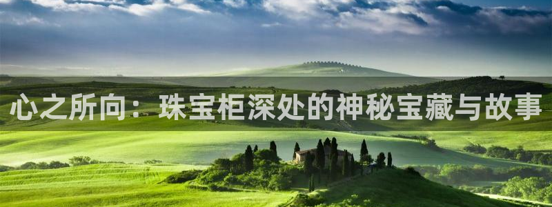 新宝股东张听2 5 5：心之所向：珠宝柜深处的神秘宝藏与故事