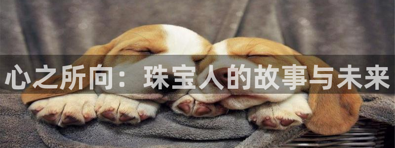 新宝5是谁的：心之所向：珠宝人的故事与未来