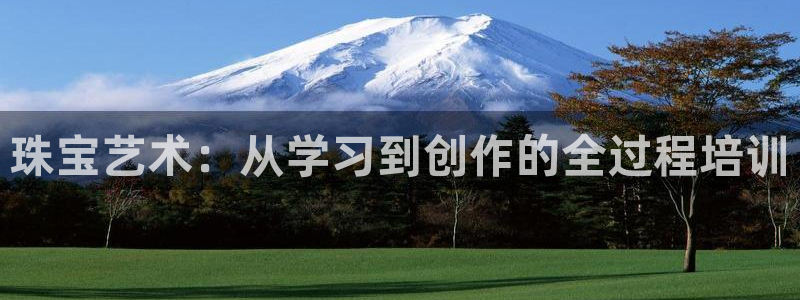 新宝5下载测试：珠宝艺术：从学习到创作的全过程培训