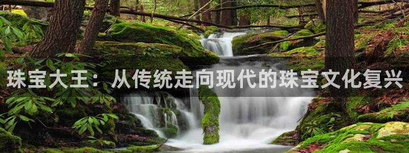 新宝5侹刔：珠宝大王：从传统走向现代的珠宝文化复兴