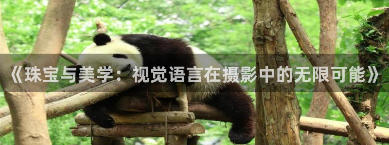 新宝5黑彩：《珠宝与美学：视觉语言在摄影中的无限可能》