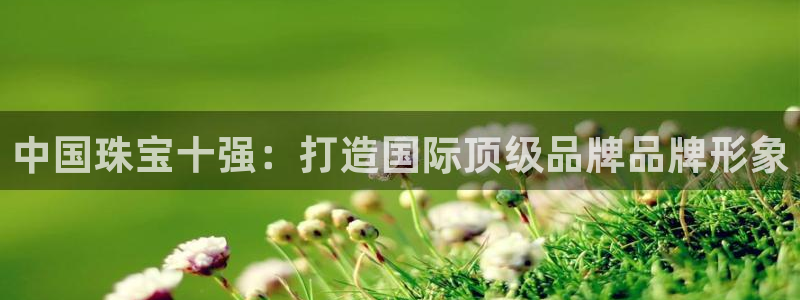 新宝5-测速：中国珠宝十强：打造国际顶级品牌品牌形象