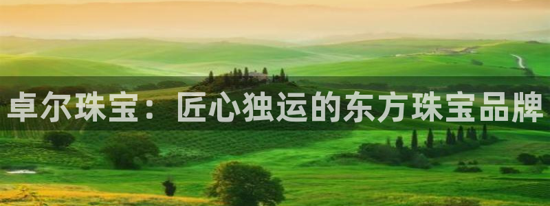 新宝5手机平台登陆：卓尔珠宝：匠心独运的东方珠宝品牌