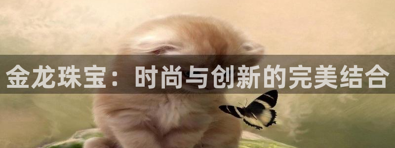 新宝5户端：金龙珠宝：时尚与创新的完美结合