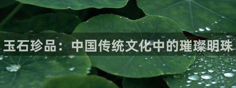 新宝股东王听2 5 5：玉石珍品：中国传统文化中的璀璨明珠