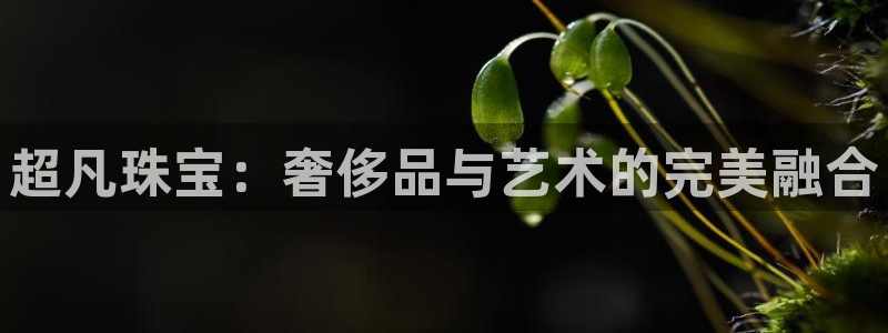 新宝股东张听2 5 5：超凡珠宝：奢侈品与艺术的完美融合