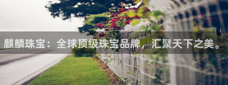 新宝5开户：麒麟珠宝：全球顶级珠宝品牌，汇聚天下之美。