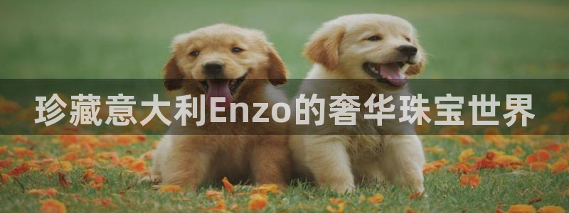 新宝5注册：珍藏意大利Enzo的奢华珠宝世界